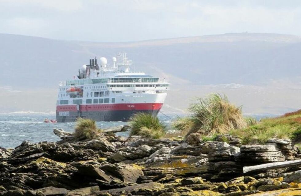 Penguin news: "se sospecha que un niño padece Covid-19"