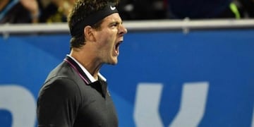 Juan Martín del Potro está en cuartos de final del ATP 250 de Delray Beach\u002E