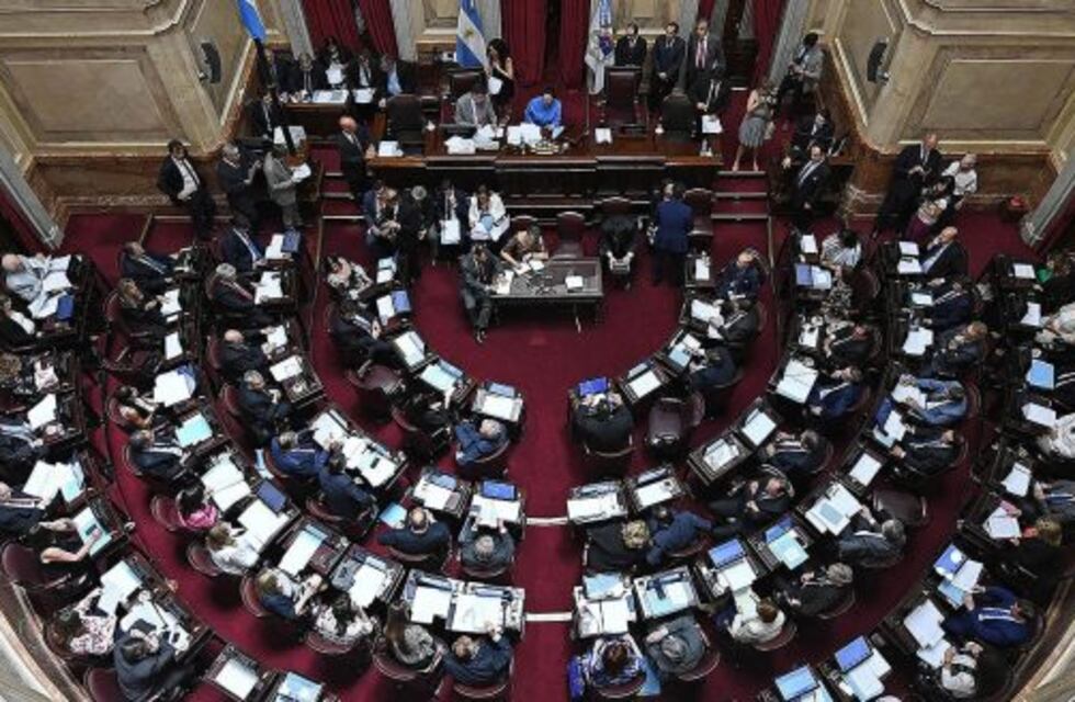 El Senado aún no se define la designación de la nueva defensora del Niño de la Nación