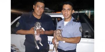 Diario Panorama\u002E