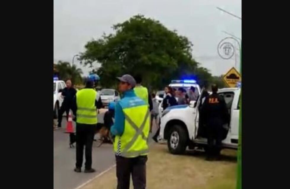 Se agarraron a piñas con la policía luego de un control de alcoholemia