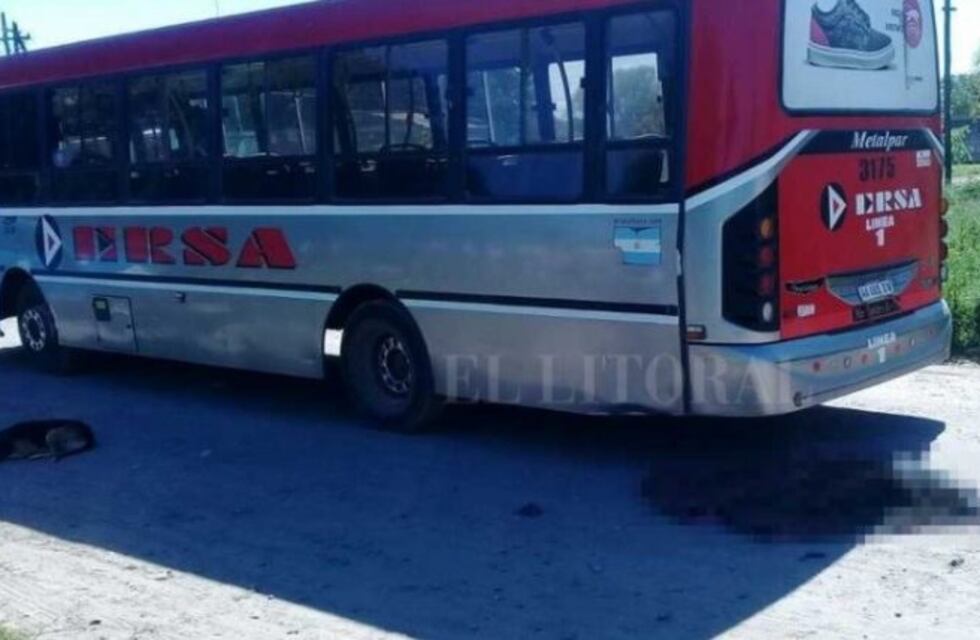 Un chico fue atropellado por un colectivo y murió