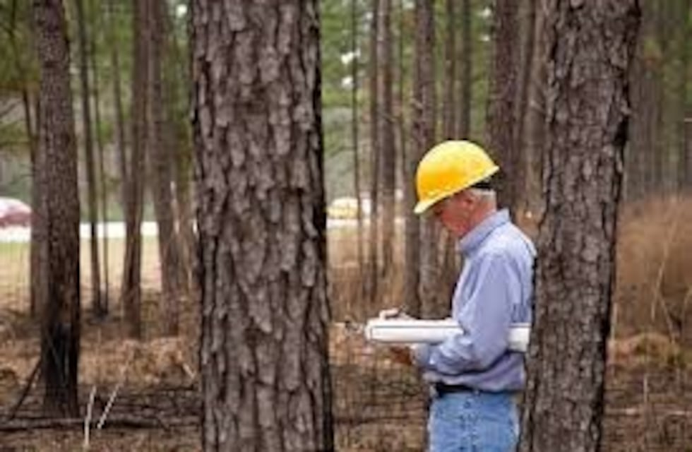 Los ingenieros forestales incorporan a su colegio a profesional industriales y afines