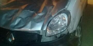 El conductor del vehículo realizó una maniobra, pero no pudo evitar chocar contra el caballo\u002E