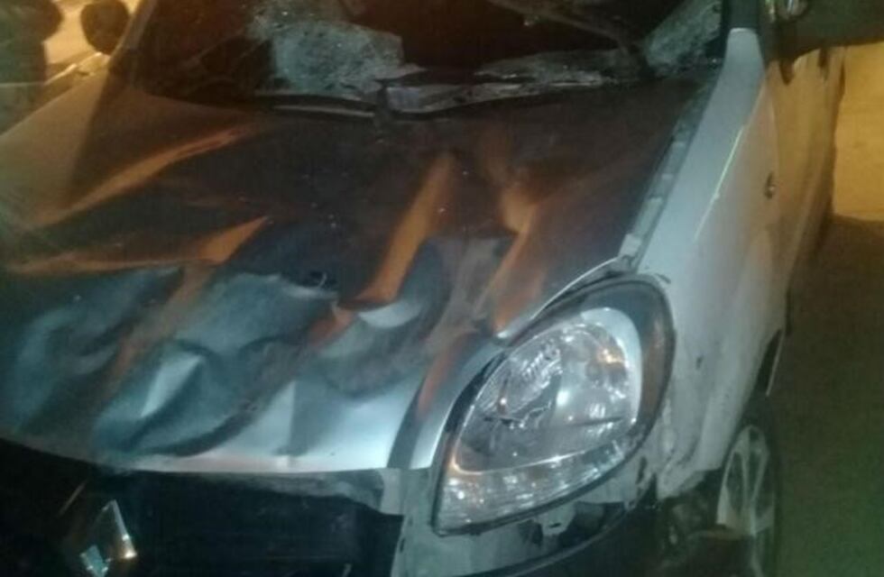 Chocaron un caballo que se les atravesó en la ruta y resultaron ilesos