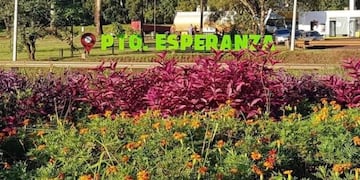 Reforzarán los controles sanitaron en Puerto Esperanza