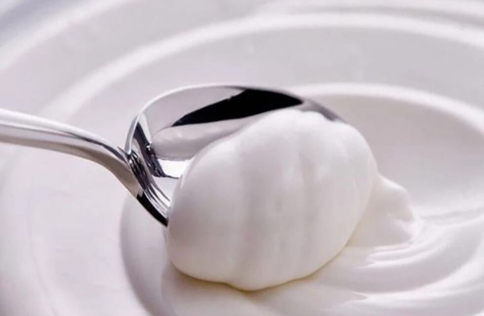 Científicos de Luján elaboraron un yogur nutritivo para comedores escolares