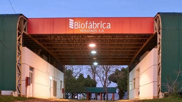 Policía frustró el robo de plantas de marihuana y otros elementos de la Biofábrica de Posadas.