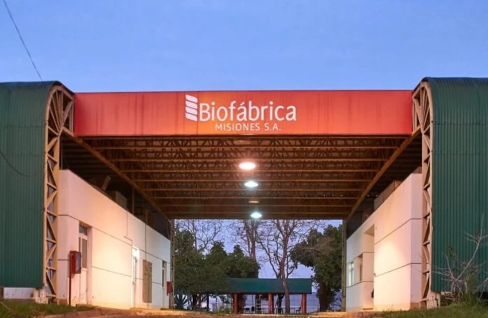 Policía frustró el robo de plantas de marihuana y otros elementos de la Biofábrica de Posadas