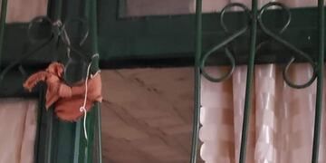 Vandalizaron la Escuela N°462 de Puerto Iguazú.