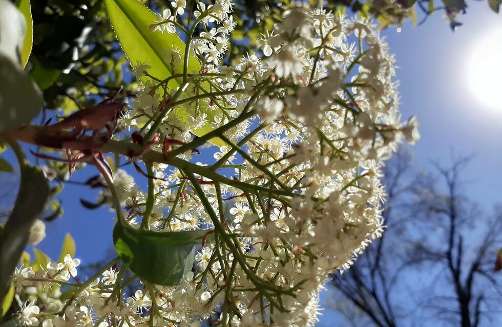 Miércoles muy caluroso en San Luis
