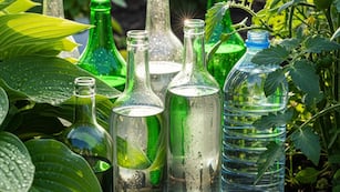 No es por moda: el motivo por el que se colocan botellas de plásticos con agua entre las plantas