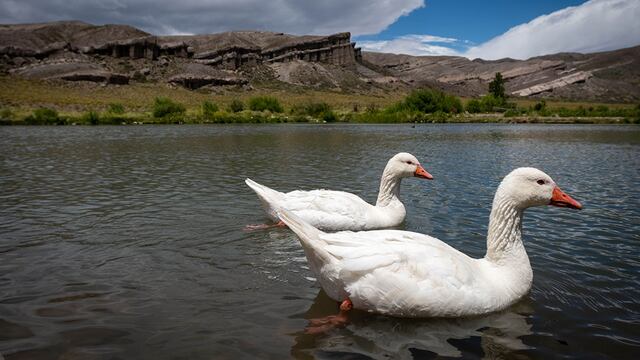 El tiempo en todo el sur mendocino para este fin de semana y el comienzo de la nueva.