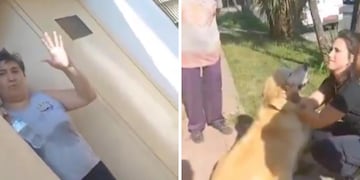 Una mujer fue hasta una carnicería para pedir que faenen a su perro. Foto: Los Andes