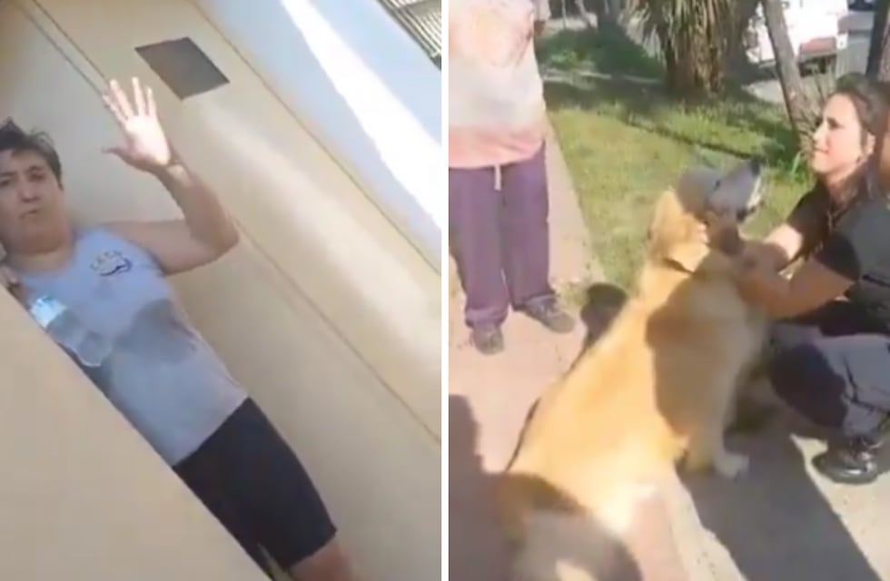 Quiso faenar a su perro por “estar en edad”:  “Eso se hace con los animales”