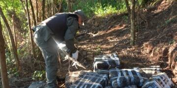 Secuestran marihuana en una zona de monte en Colonia Delicia.