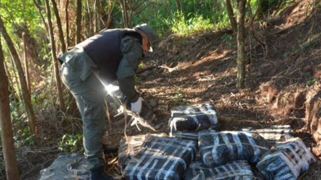 Secuestran marihuana en una zona de monte en Colonia Delicia.