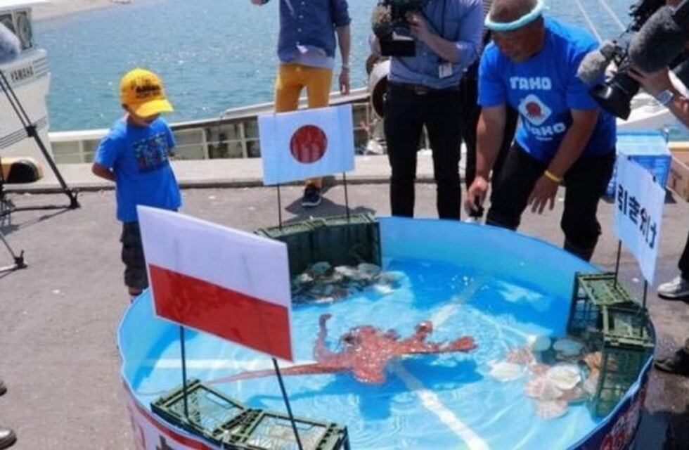 El final del pulpo Paul japonés: de ser un adivino infalible a terminar en trozos