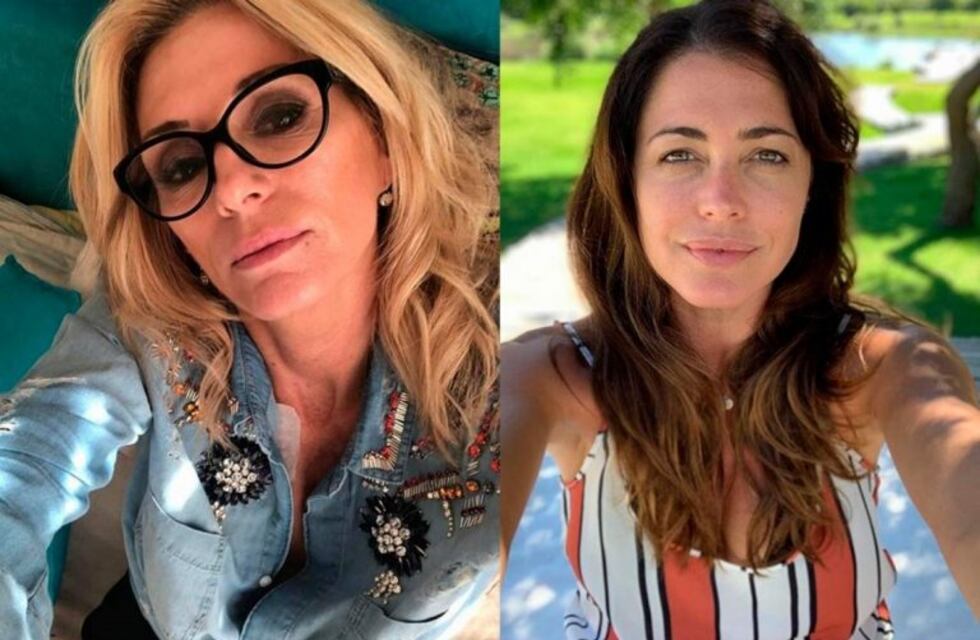 Yanina Latorre destrozó a Pamela David y la trató de "ignorante"