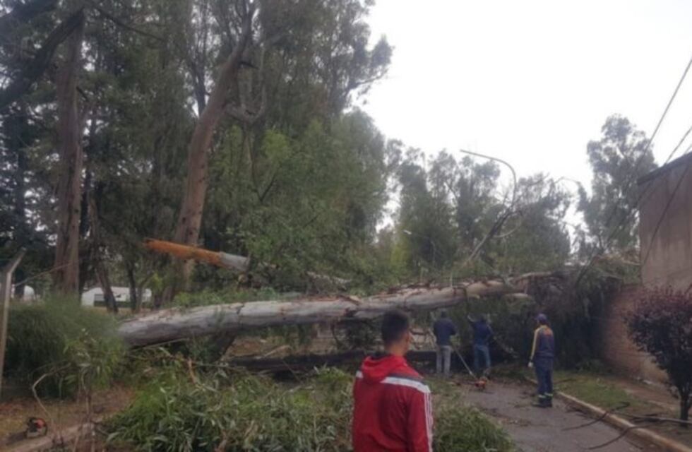 La tormenta con granizo dejó calles anegadas, casas inundadas y autos estancados