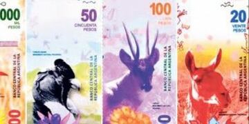 El billete de $ 5000 ya tiene diseño y está en producción: cuándo llega
