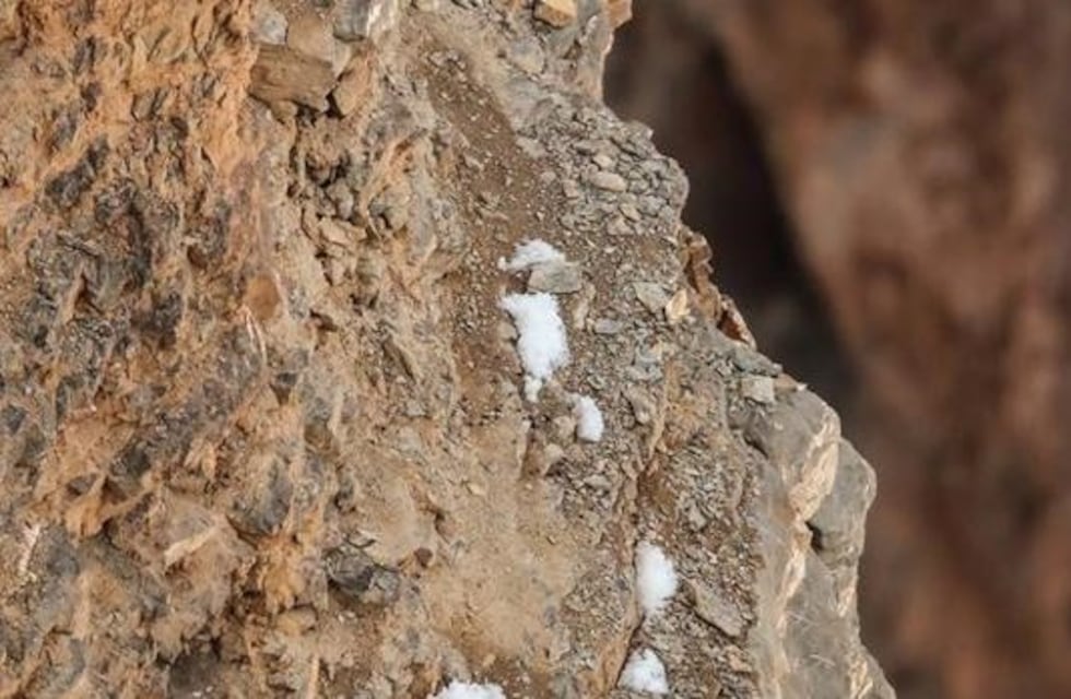 Desafío viral: ¿Lográs ver el leopardo camuflado en las rocas?