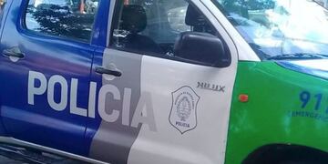 Policiales en Mar del Plata