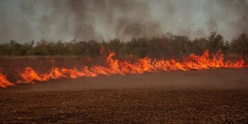 El fuego puso en jaque a los habitantes del Delta del Paraná este fin de semana\u002E (Carlos Salazar)