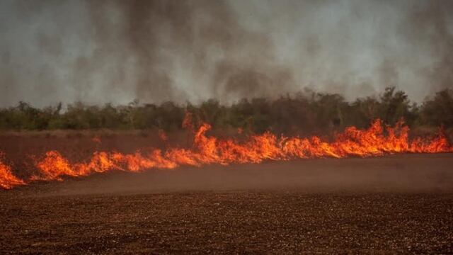 El fuego puso en jaque a los habitantes del Delta del Paraná este fin de semana\u002E (Carlos Salazar)