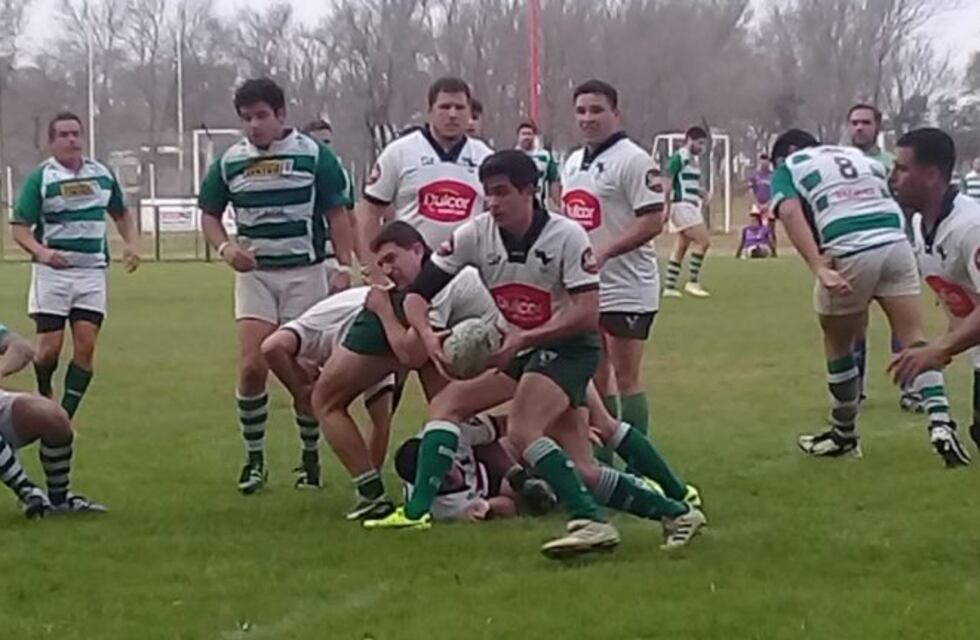 Los Hurones enfrentarán a Las Águilas en la Gran Final del Torneo