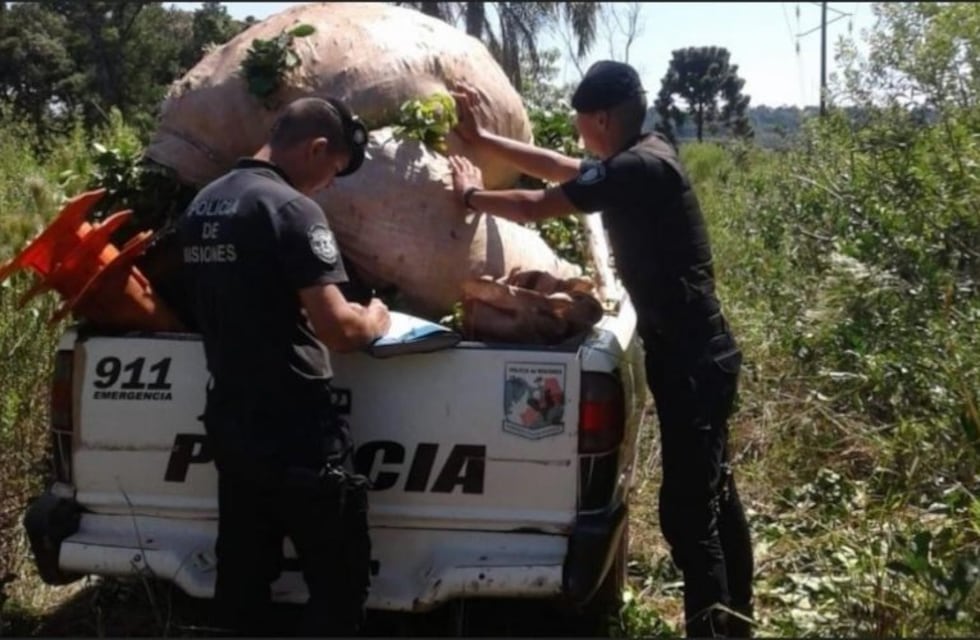 Robo de yerba mate: desde el INYM capacitaron a efectivos de la Policía de Puerto Rico