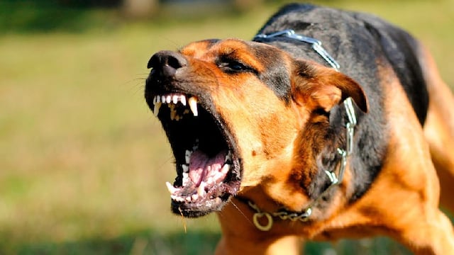 Los cambios que establece la ordenanza "Trinidad".