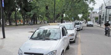 taxis la rioja