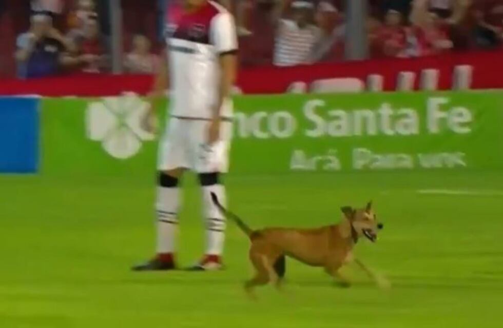 ¡Invasión de cancha! Un perrito demoró el inicio del partido de San Martín y Newell's