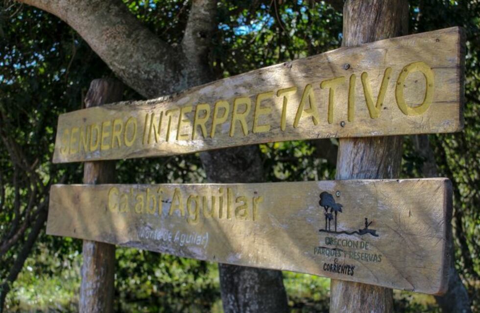 Concepción: gestionarán tareas para reinaugurar el sendero de bosques nativos para el turismo