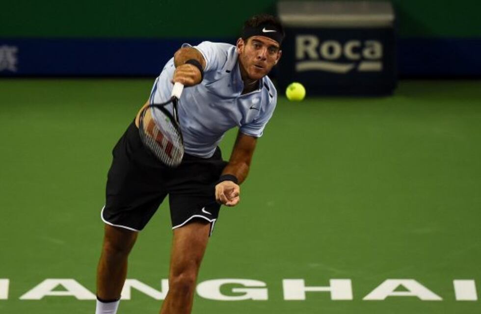 Del Potro, Schwartzman y Mayer subieron en el ranking ATP