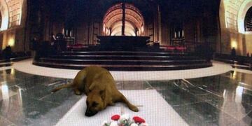 Crearon un nuevo filtro de Instagram que enfurece a las madres