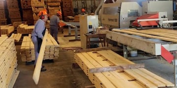 La demanda genera problemas de abastecimiento en los aserraderos\u002E