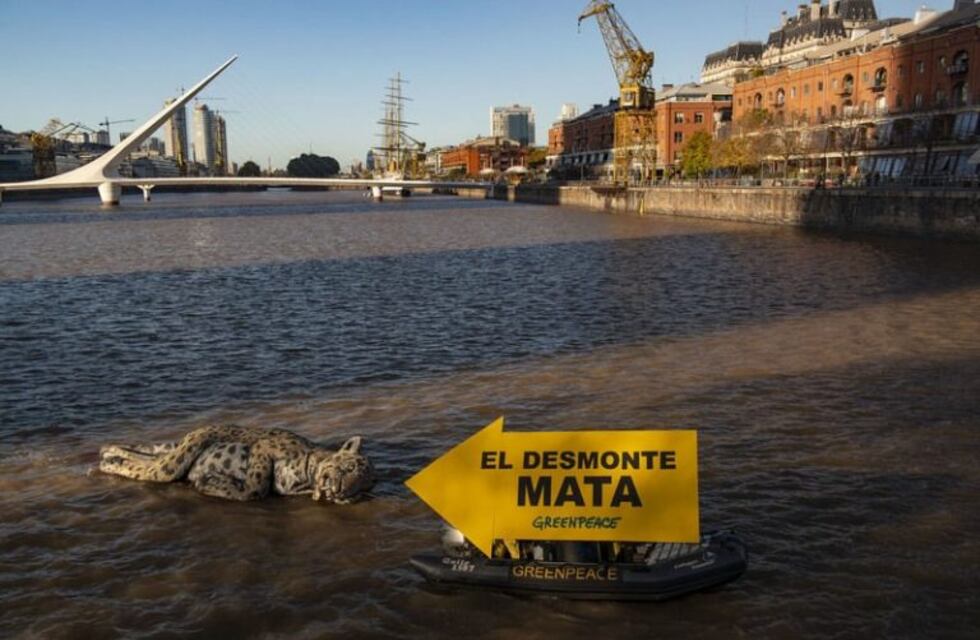 Apareció flotando un "yaguareté muerto" en Puerto Madero