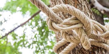Soga atada a un arbol