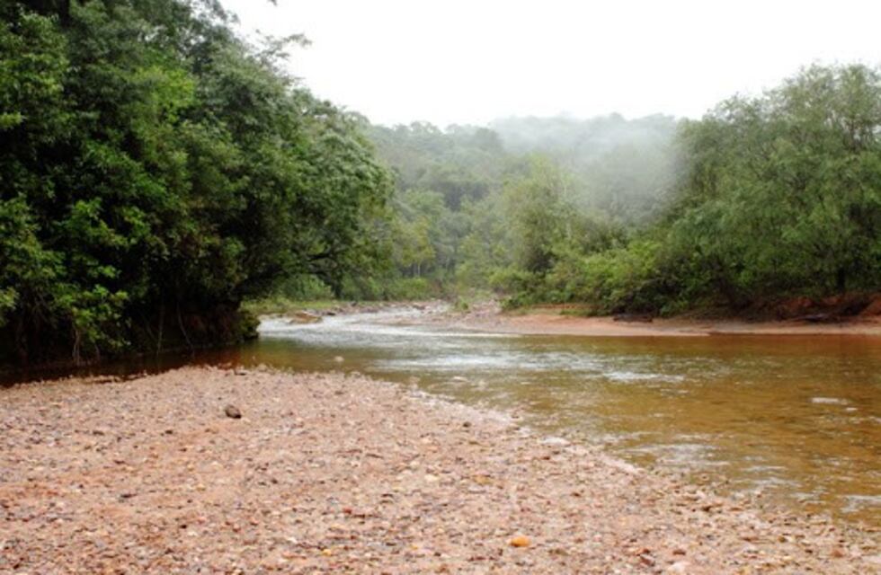 Un abuelo fue arrastrado por el río, logró agarrarse de un tronco y se salvó