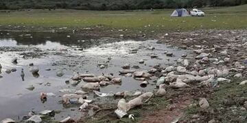 Una fundación pide ayuda para limpiar el dique Cabra Corral\u002E (web)