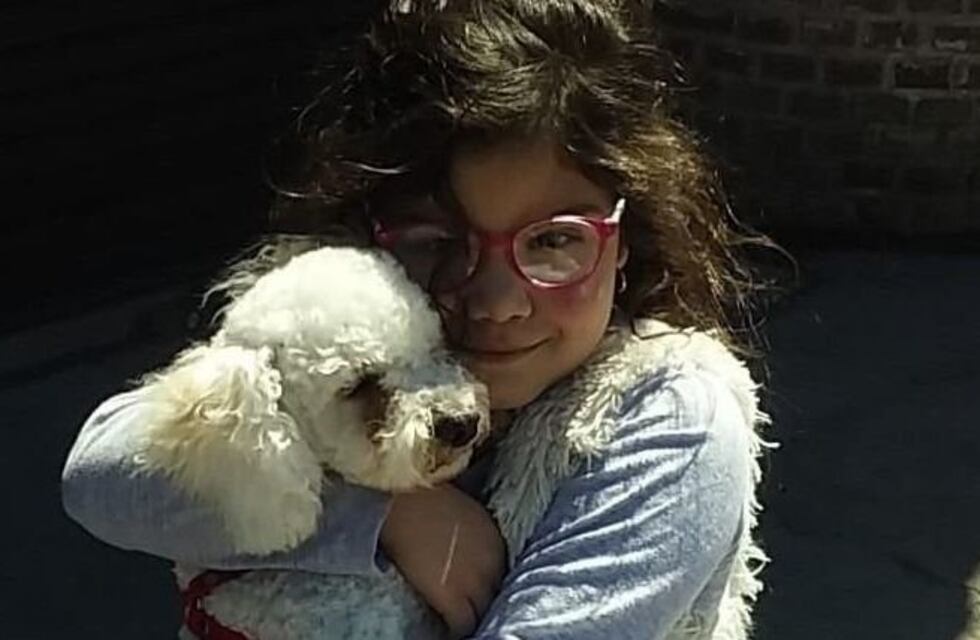 Una nena de La Plata pide desconsoladamente que la ayuden a encontrar el perro que le robaron