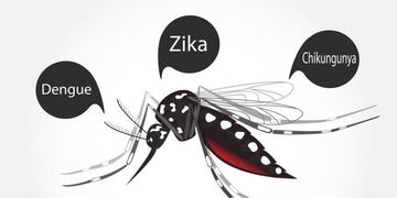 Campaña de prevención contra el dengue, zika y Chikungunya