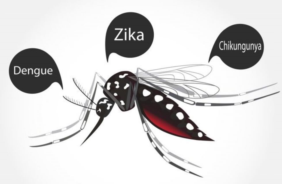 ¿Como prevenir el dengue, zika y chikungunya?
