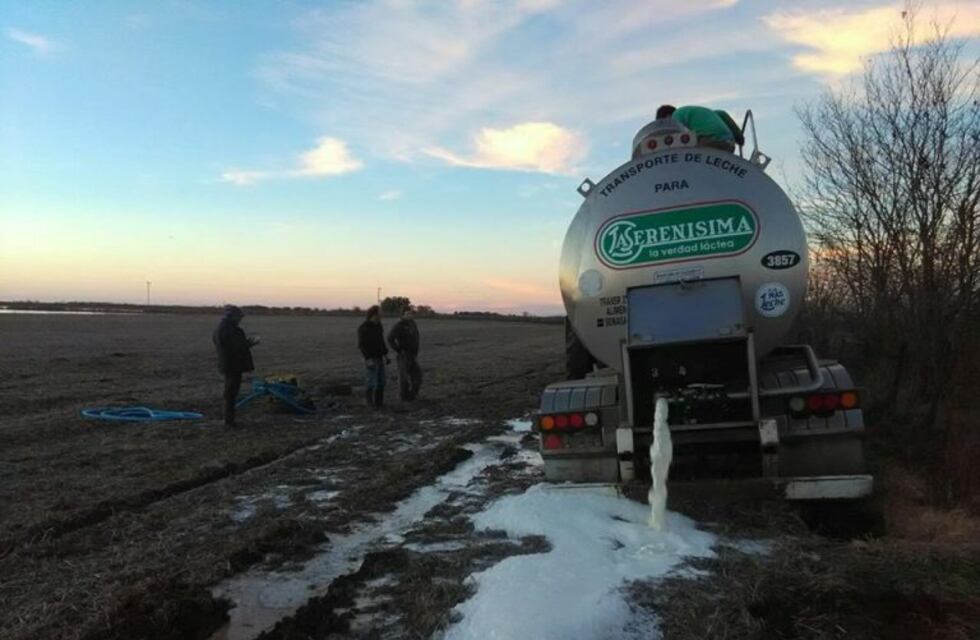 En Rivadavia tiran leche porque están rodeados por la inundación y no la pueden transportar