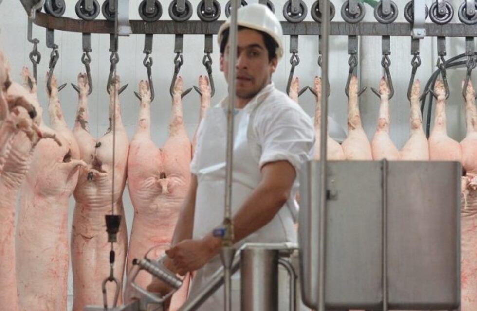 Gobierno de Río Negro aportó dos millones de pesos a una empresa recuperada