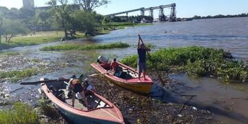 Más Río Menos Basura realiza una nueva jornada de limpieza en el Paraná\u002E (Clarin)