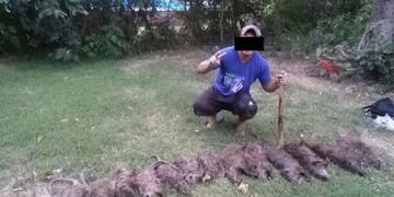 Las fotos fueron denunciadas ante la policía santafesina\u002E (Prensa Policía de Santa Fe)