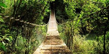 Maravilla Natural Argentina\u002E La Selva Misionera\u002E